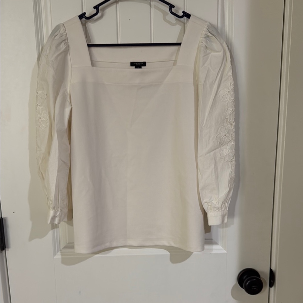Beautiful Ann Taylor top